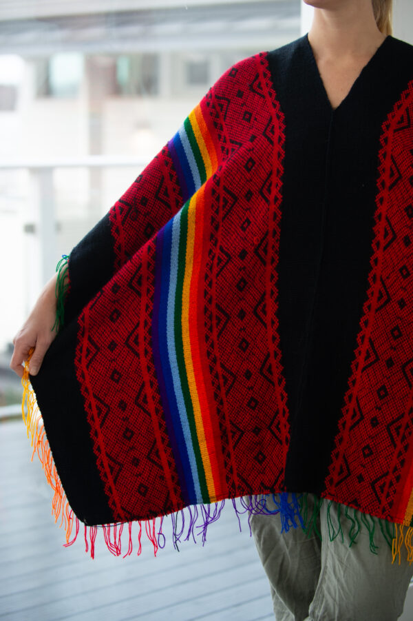 Andean Rainbow Poncho
